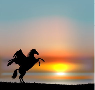 Pegasus gökyüzü günbatımı üzerinde vektör