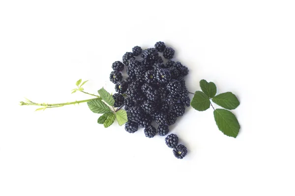 Blackberries isolated on white — Stock Photo, Image