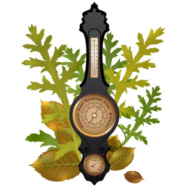 Vector barometer with leaves clipart