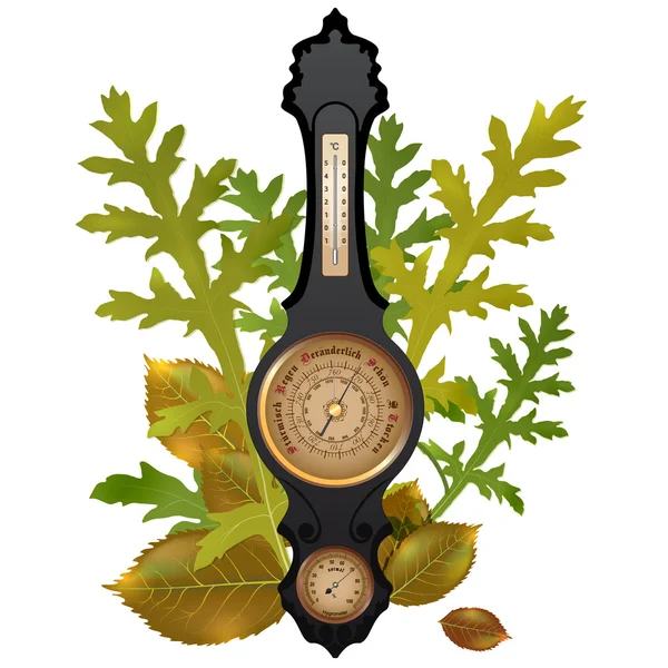 Векторный барометр с листьями — стоковый вектор