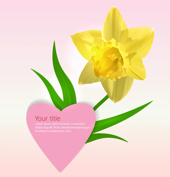 Valentine'nın arka plan ile nergis çiçeği — Stok Vektör