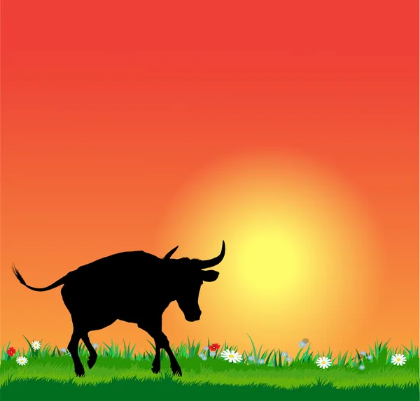 矢量牛剪影在日落 — 图库矢量图片