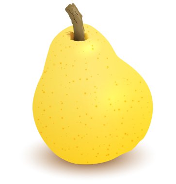 vektör sarı armut