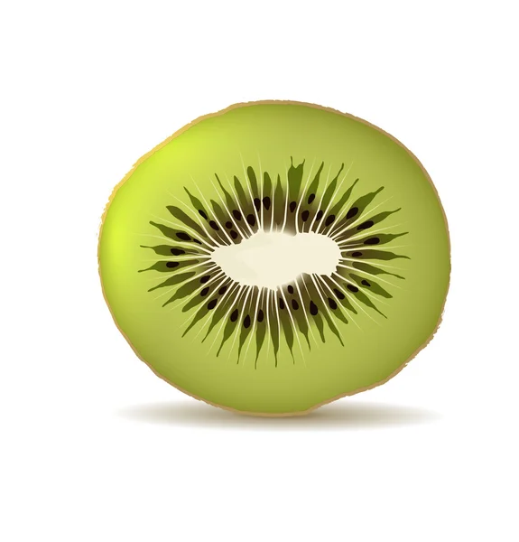 Organic kiwi isolated on white — Stock Vector
