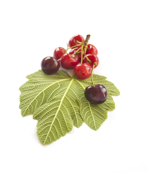 Cherries on white — Stock Photo, Image