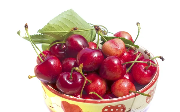 Las cerezas en la escudilla sobre blanco —  Fotos de Stock