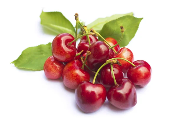 Cherries on white — Stock Photo, Image