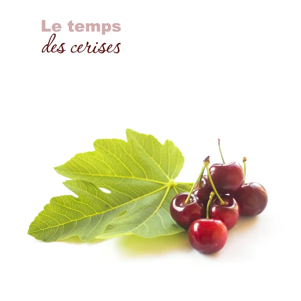 "Temps des cerises "ilustración. Cerezas aisladas en blanco — Foto de Stock