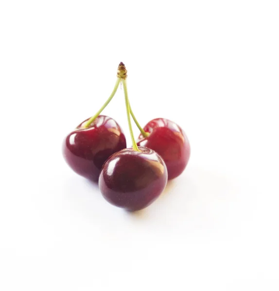 Cerises sur blanc — Photo