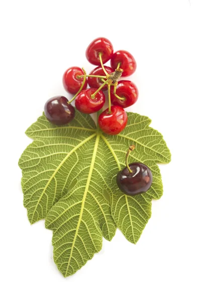 Cherries on white — Stock Photo, Image