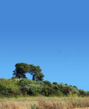 Fransız taşra ve mavi gökyüzü