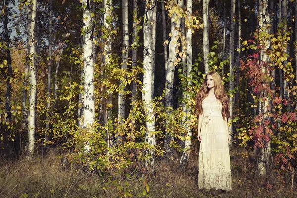Modeporträt einer schönen jungen Frau im Herbstwald — Stockfoto