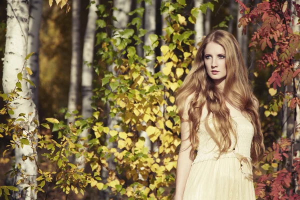 Fashion portrait of a beautiful young woman in autumn forest — Stock Photo, Image