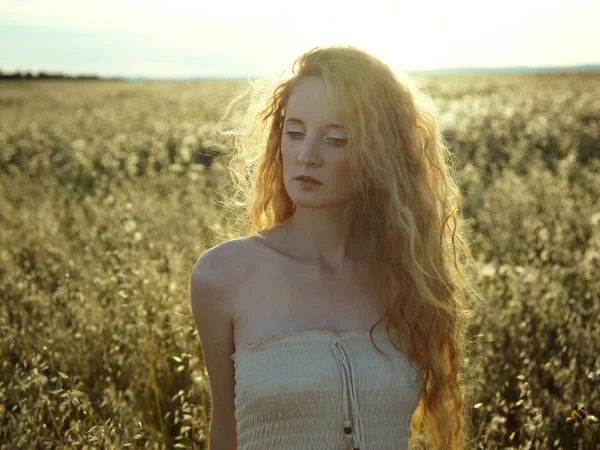 Mooi meisje op een zomer-veld — Stockfoto