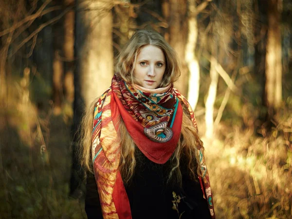 Portret van een mooi jong meisje op de natuur. herfst portret — Stockfoto