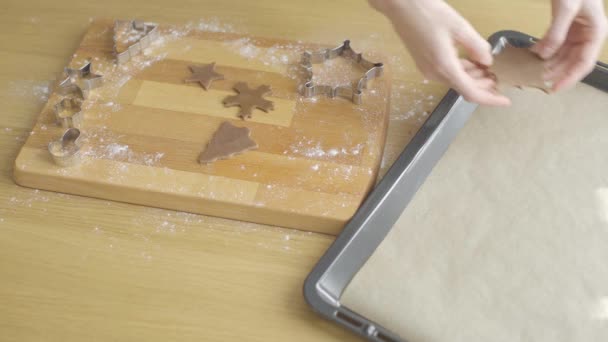 Gospodyni Domowa Kładzie Imbirowe Ciasteczka Blasze Pieczenie Ciastek Świątecznych — Wideo stockowe
