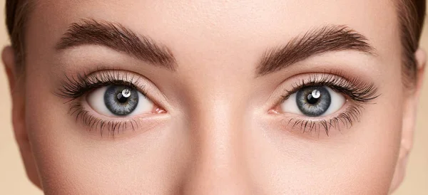 Vrouwelijk Oog Met Extreme Lange Valse Wimpers Wenkbrauwverlengingen Make Cosmetica — Stockfoto