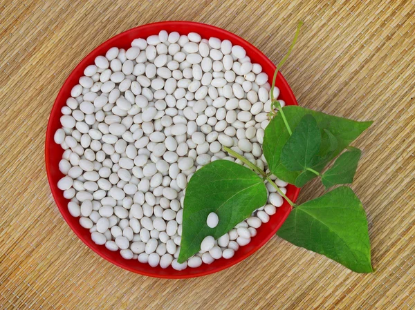 Beans and leaves in red plastic bowl — Stock Photo, Image