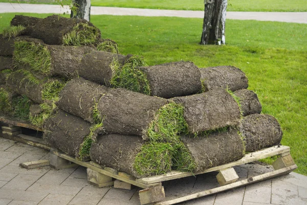 Gräsmatta gräs vridna i rullar — Stockfoto