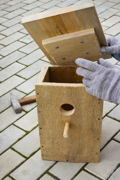 Haciendo una casa de pájaros de tablas temporada de primavera — Foto de Stock