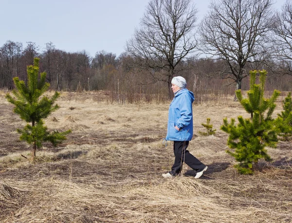 春の森の中で一人の高齢女性 — ストック写真