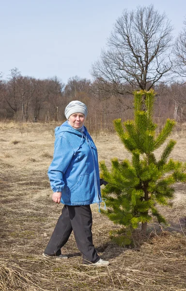 Äldre vacker kvinna i en skog med våren — Stockfoto