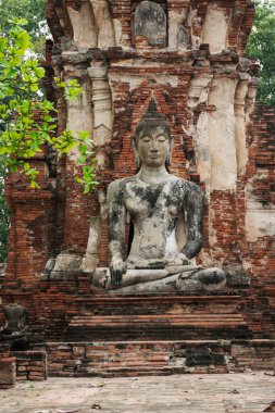Tayland 'ın tarihi Ayutthaya kentindeki Wat Mahathat tapınağında Buda heykeli