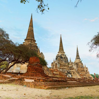 Eski Siyam başkenti Ayutthaya 'nın üç antik pagoda (çedi) harabeleri Phra Nakhon Si Ayutthaya, Tayland