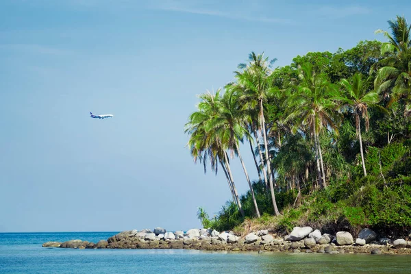 Junglă Palmieri Până Ţărm Marea Andaman Thailanda — Fotografie, imagine de stoc