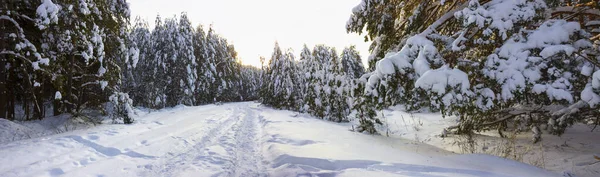 December 2021 Unusually Large Amount Snow Fell Landscape Looks More — Stockfoto