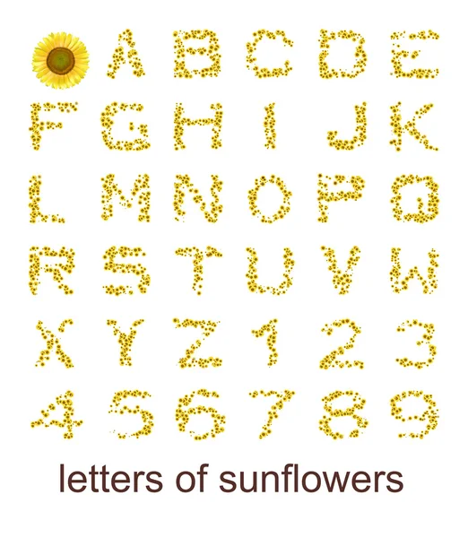 Letters of sunflowers — Stock Photo, Image