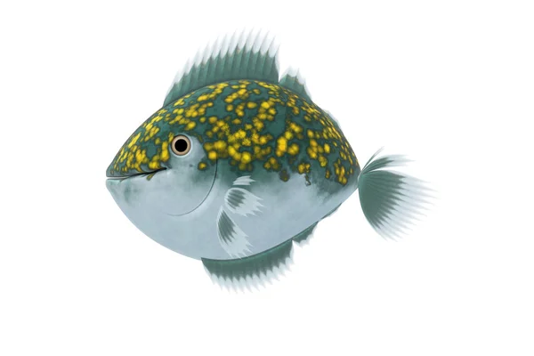 Grafico pesce — Foto Stock