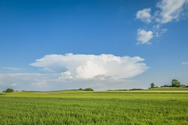 Paesaggio con nuvola speciale — Foto Stock