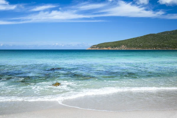 Sklenice na víno bay — Stock fotografie