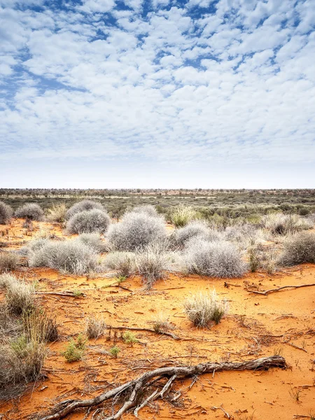 Outback — Stockfoto