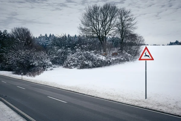 Winter road — Stock Photo, Image