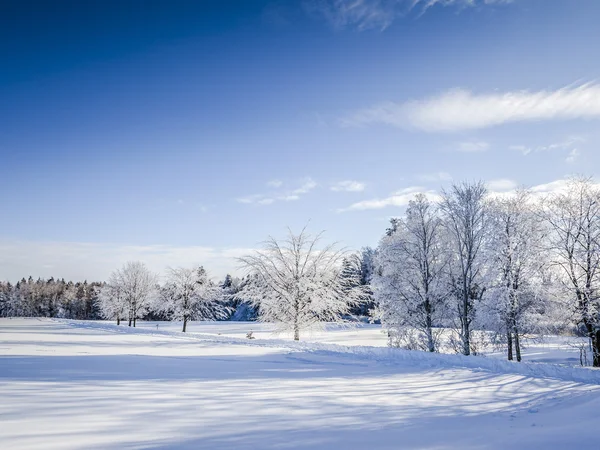 Paesaggio invernale — Foto Stock