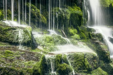 Tasmanian Waterfall clipart