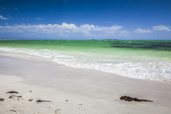 Beach Austrálie — Stock fotografie