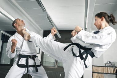 martial arts master clipart