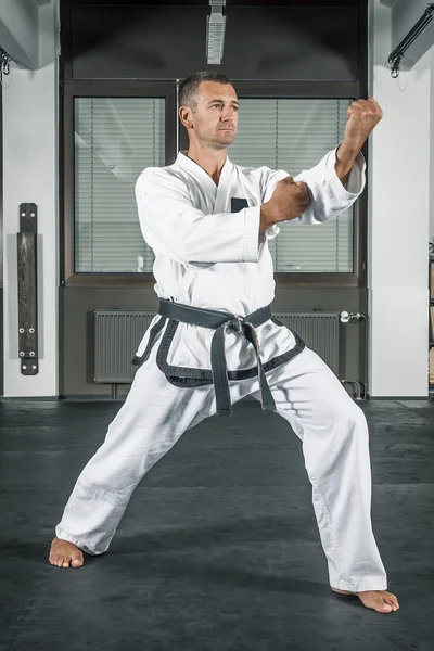 Martial arts meester — Stockfoto