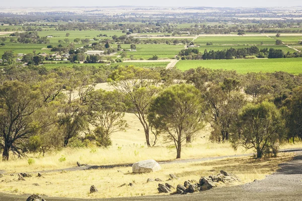 Barossa-Tal — Stockfoto