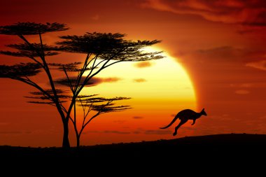 kangoroo sunset australia clipart