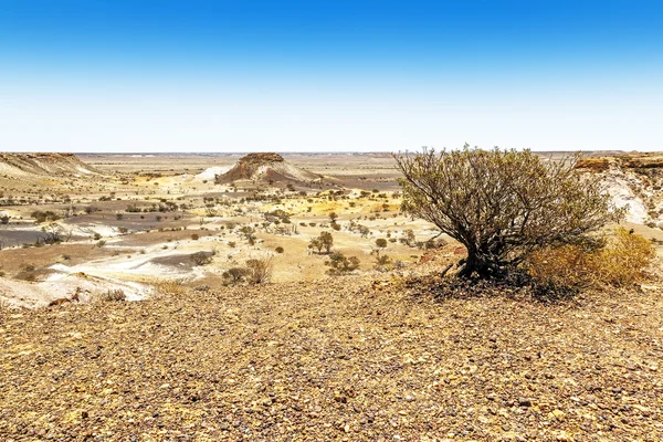 Ausreißer nach oben — Stockfoto