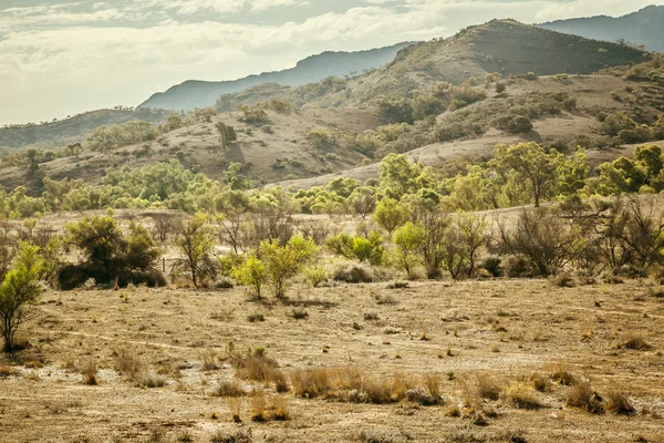 Flinders ranges Australië — Stockfoto