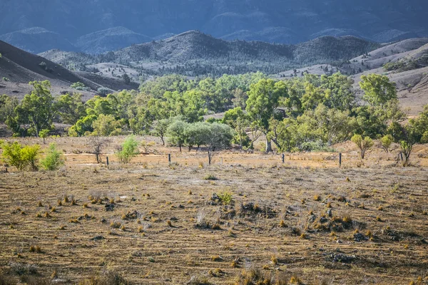 Flinders ranges Australië — Stockfoto