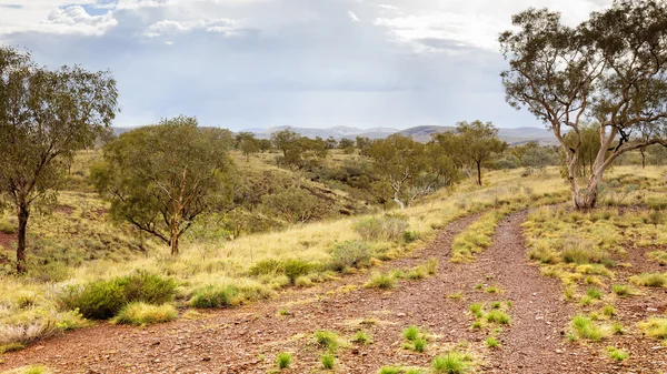 Ділянки земельні ущелині Австралії — стокове фото