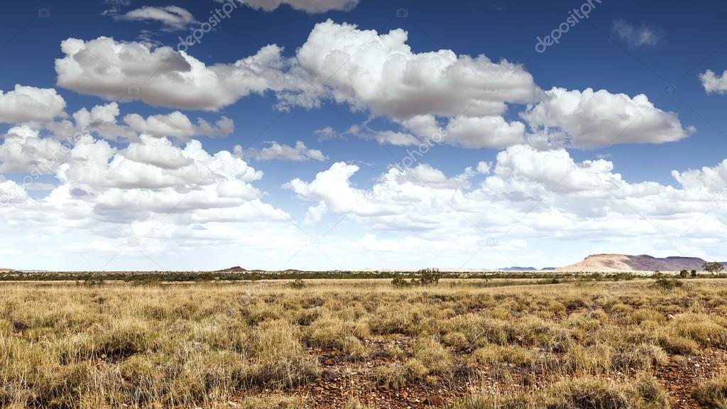 desert landscape Australia