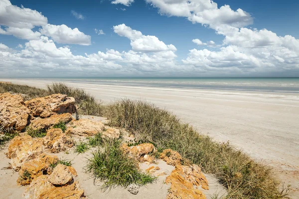 Вісімдесят метрів пляжу Австралії — стокове фото
