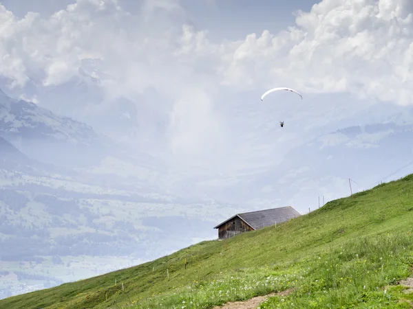 Parapente — Fotografia de Stock